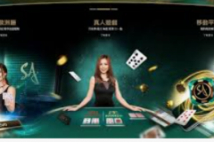 冰球突破豪华版iOS-冰球突破豪华版，在iOS平台上畅游的极致体验-冰球突破豪华版iOS